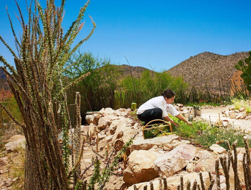 Jw Marriott Starr Pass 5* Tucson